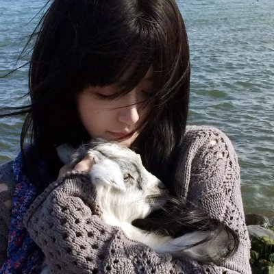 狼(2013)